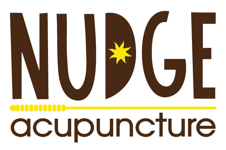 Nudge Logo